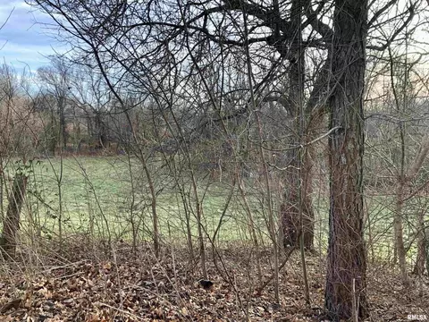 12681 Cochran Rd, Marion, IL 62959 photo 4