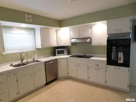 20 Deer Path Dr, Salem, IL 62881 photo 5