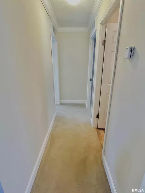 140 Elm St, Noble, IL 62868 photo 8