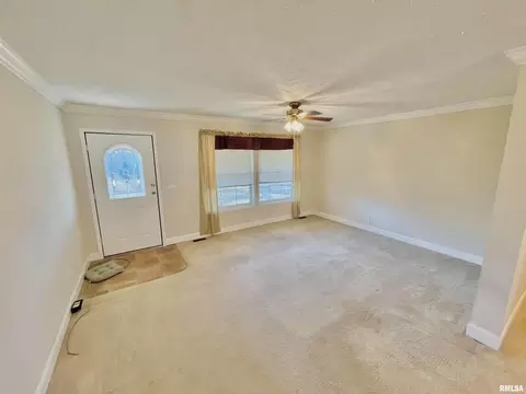140 Elm St, Noble, IL 62868 photo 4