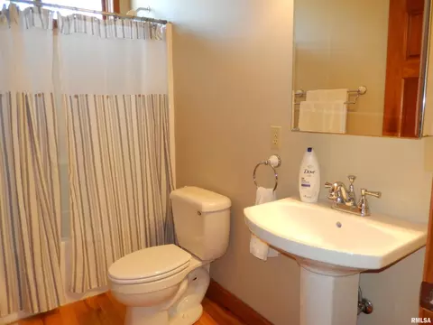 280 Willow Ln, Anna, IL 62906 photo 32