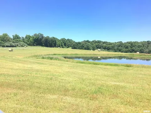 250 Mount Hebron Rd, Makanda, IL 62958 photo 27