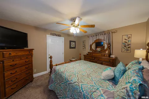 15 Nelms Ave, Centralia, IL 62801 photo 15