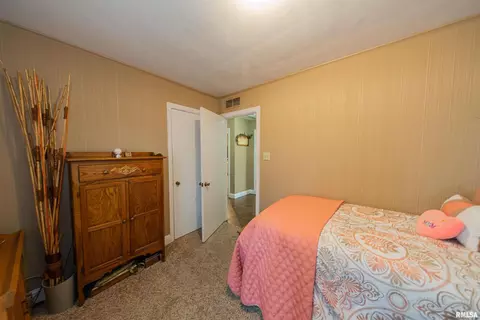15 Nelms Ave, Centralia, IL 62801 photo 17