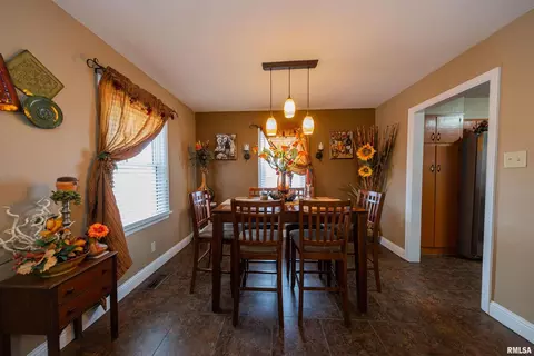 15 Nelms Ave, Centralia, IL 62801 photo 8