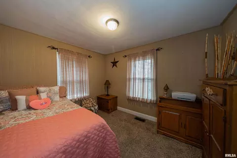 15 Nelms Ave, Centralia, IL 62801 photo 16