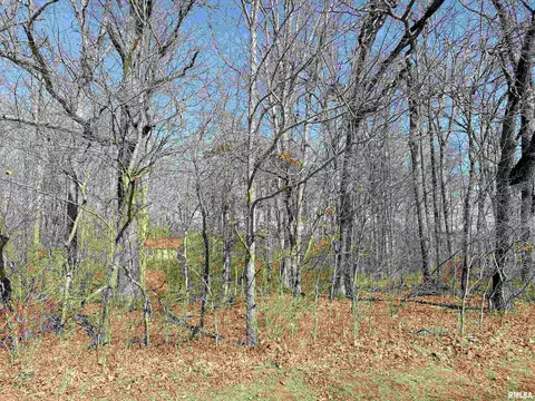219 Hanging Rock Rd, Flora, IL 62839 photo 7