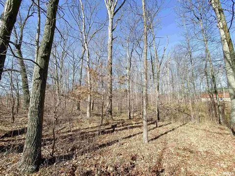 219 Hanging Rock Rd, Flora, IL 62839 photo 12