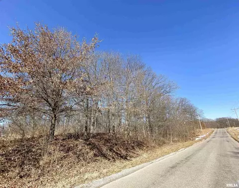 219 Hanging Rock Rd, Flora, IL 62839 photo 1