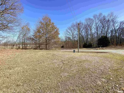219 Hanging Rock Rd, Flora, IL 62839 photo 4