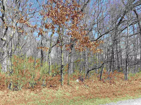 219 Hanging Rock Rd, Flora, IL 62839 photo 6