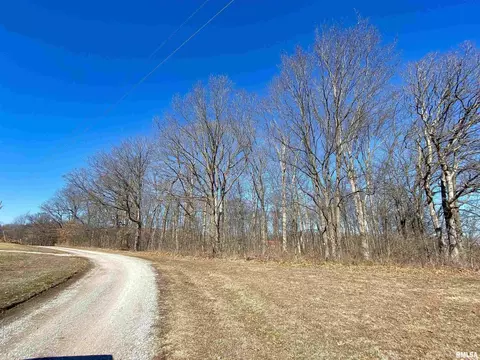 219 Hanging Rock Rd, Flora, IL 62839 photo 3