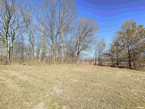 219 Hanging Rock Rd, Flora, IL 62839 photo 5