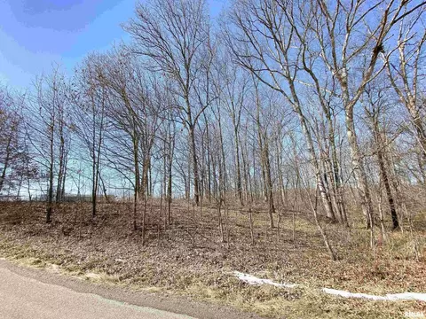 219 Hanging Rock Rd, Flora, IL 62839 photo 2