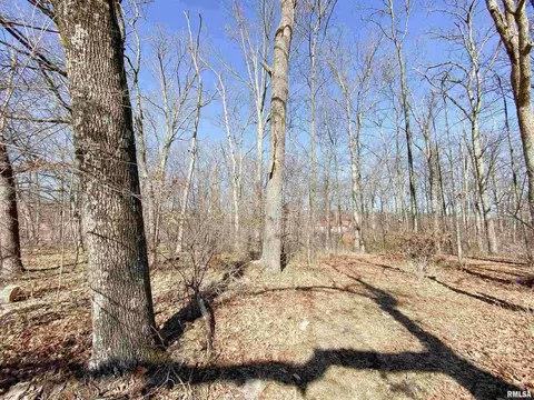 219 Hanging Rock Rd, Flora, IL 62839 photo 8