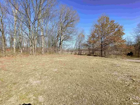 219 Hanging Rock Rd, Flora, IL 62839 photo 14