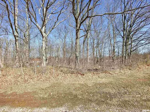 219 Hanging Rock Rd, Flora, IL 62839 photo 13