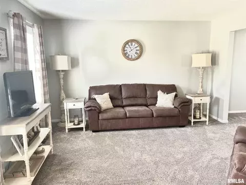 520 Tracy Ter, Centralia, IL 62801 photo 3