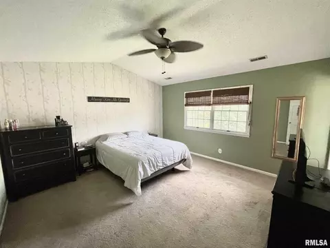 520 Tracy Ter, Centralia, IL 62801 photo 10
