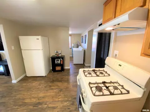 335 College St, Flora, IL 62839 photo 18