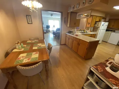 10 Holly Ln, Flora, IL 62839 photo 24
