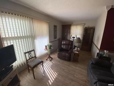 10 Holly Ln, Flora, IL 62839 photo 18