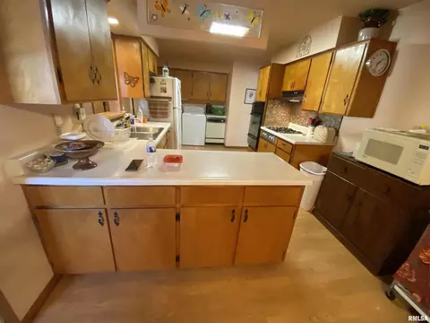 10 Holly Ln, Flora, IL 62839 photo 25