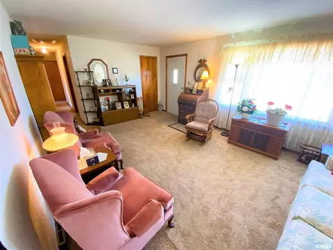 10 Holly Ln, Flora, IL 62839 photo 6