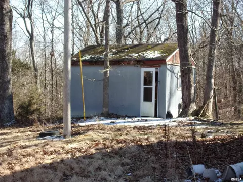 8424 Green Rd, Iuka, IL 62849 photo 8