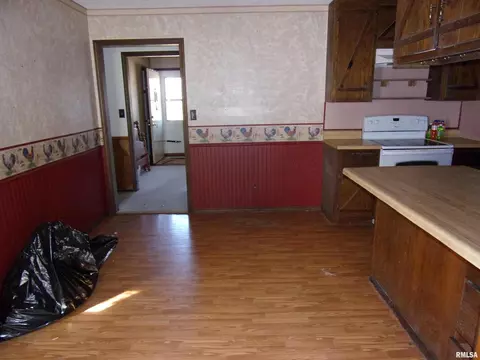 8424 Green Rd, Iuka, IL 62849 photo 5