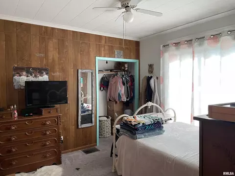 211 Mcfall St, Benton, IL 62812 photo 28