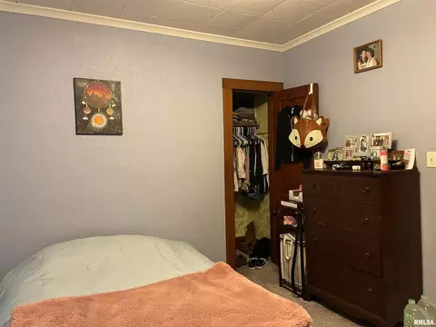 211 Mcfall St, Benton, IL 62812 photo 24