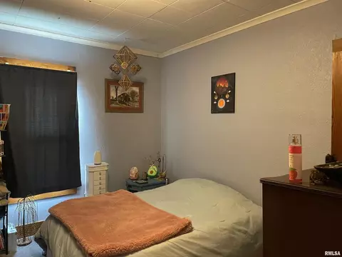 211 Mcfall St, Benton, IL 62812 photo 23