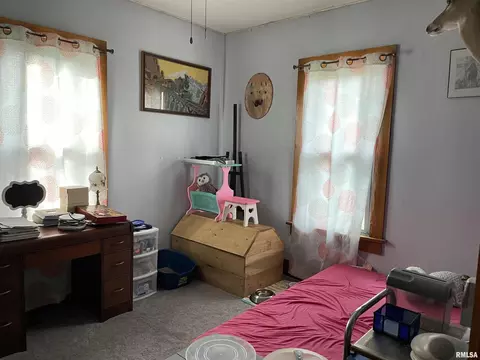 211 Mcfall St, Benton, IL 62812 photo 26