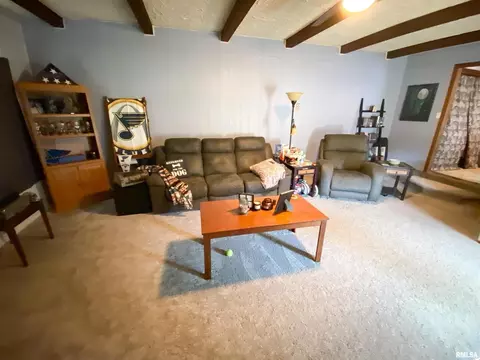 50 Hemlock Ln, Flora, IL 62839 photo 23