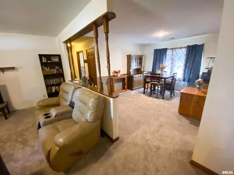 50 Hemlock Ln, Flora, IL 62839 photo 16