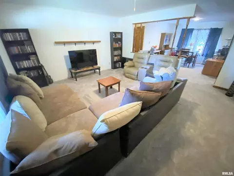 50 Hemlock Ln, Flora, IL 62839 photo 15