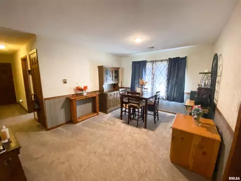 50 Hemlock Ln, Flora, IL 62839 photo 19