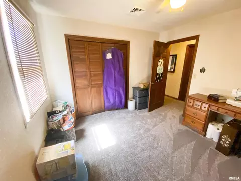 50 Hemlock Ln, Flora, IL 62839 photo 42