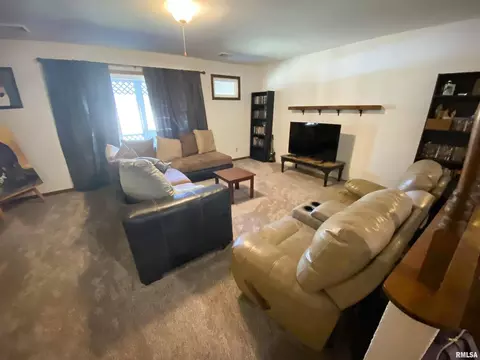 50 Hemlock Ln, Flora, IL 62839 photo 14