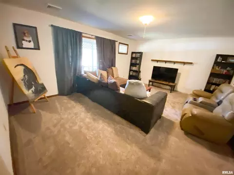 50 Hemlock Ln, Flora, IL 62839 photo 12