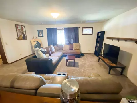 50 Hemlock Ln, Flora, IL 62839 photo 17