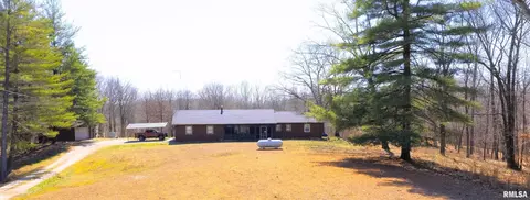 50 Hemlock Ln, Flora, IL 62839 photo 3
