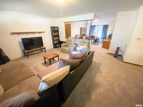 50 Hemlock Ln, Flora, IL 62839 photo 11