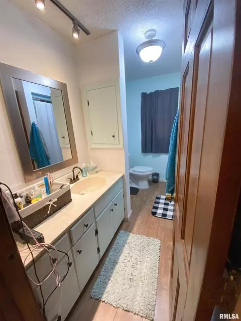 50 Hemlock Ln, Flora, IL 62839 photo 41
