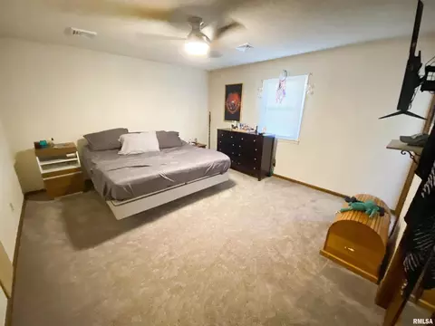 50 Hemlock Ln, Flora, IL 62839 photo 34