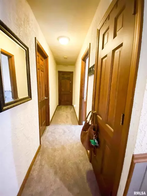 50 Hemlock Ln, Flora, IL 62839 photo 38