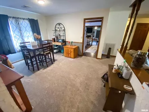 50 Hemlock Ln, Flora, IL 62839 photo 20