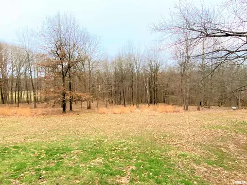 50 Hemlock Ln, Flora, IL 62839 photo 7