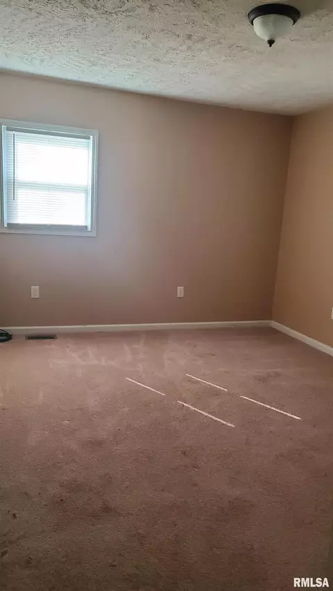 2101 Saline Ave, Eldorado, IL 62930 photo 7